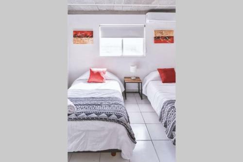 Apartamento Monterrey Living Centro T5