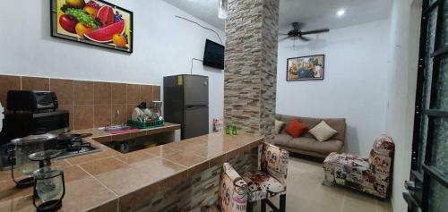 Apartamento Casa Turix Centro--santiago