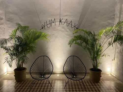 Apartamento Hotelito Yum Kaax