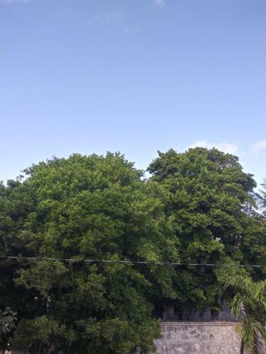 Apartamento Los Balcones Puerto Morelos