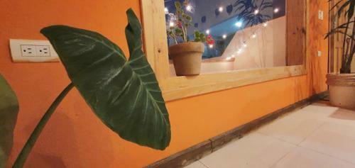 Apartamento Kukul'ik Casa - Departamento Azul