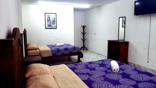 Hotel Panda Viajero