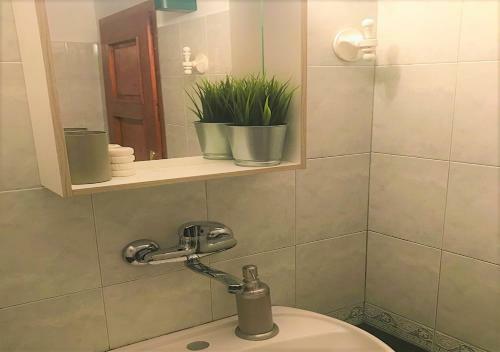 Apartamento "tipografov" Guest House
