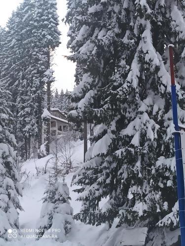 Apartamento Elizi Winter Hause Pamporovo/ ????? ????? ????. ?????????