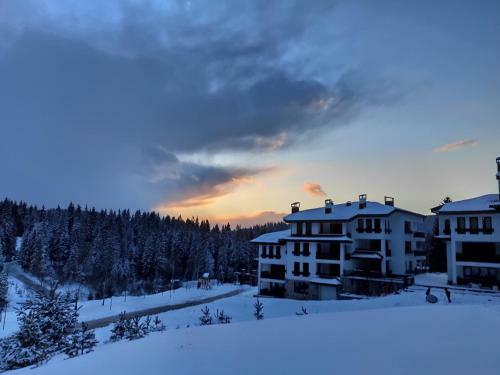 Forest Dream Apartment - Elit Pamporovo