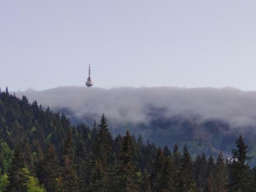 Forest Dream Apartment - Elit Pamporovo