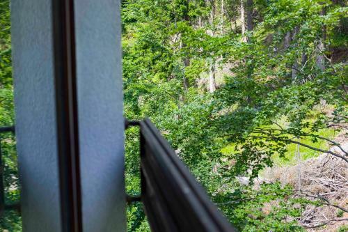 Forest Dream Apartment - Elit Pamporovo