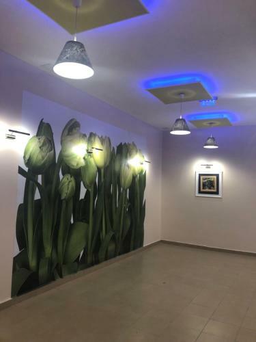 Apartamento Molly's Suite