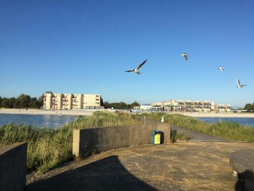 Apartamento Zuiderzeestate 28