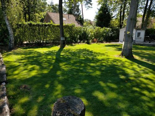 Vazonics Valkenbosch Oisterwijk 86