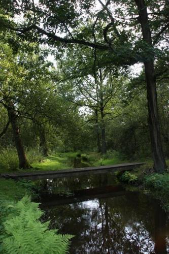 Vazonics Valkenbosch Oisterwijk 86