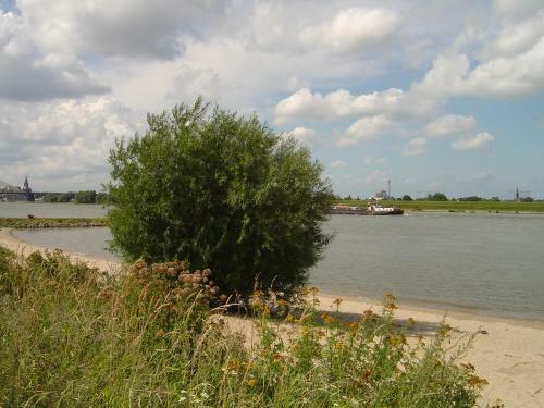 Bed & Breakfast Roosje Van Ooy