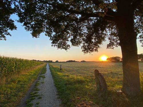 Apartamento Appartement Duinweg