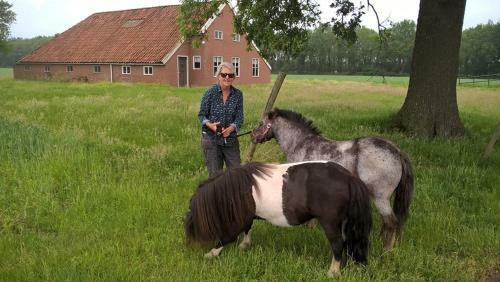 Bed & Breakfast Boerderijkamer Zwanebloem