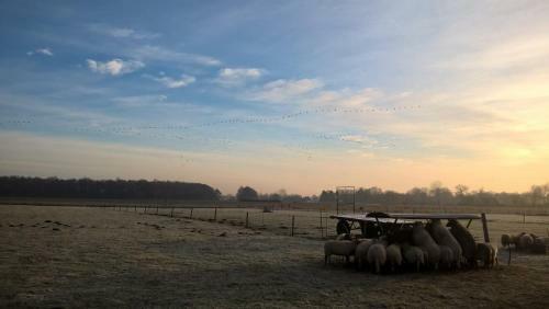 Bed & Breakfast Boerderijkamer Zwanebloem