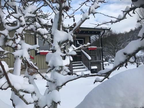 Haere Mai B&B Orust