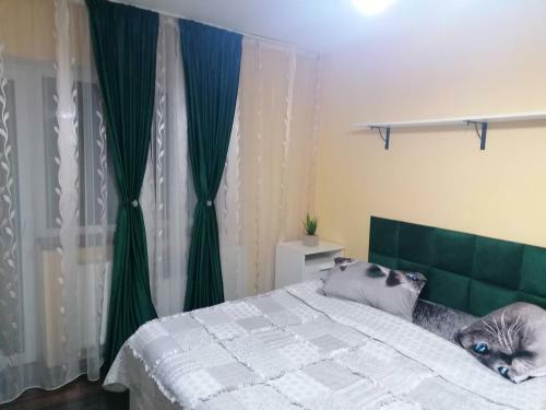 Apartament Cetatii