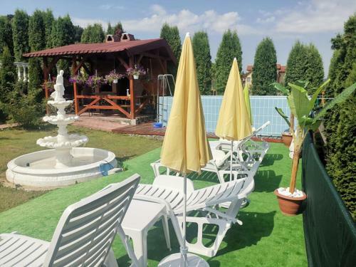 Hostal Stars Livezeni