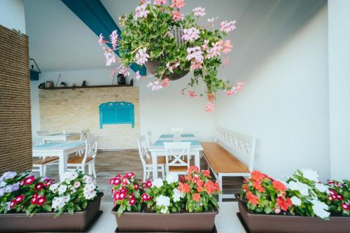Hostal Pensiunea Briza Marii Jurilovca