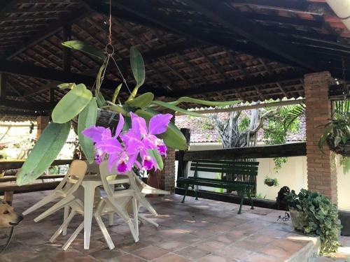S�tio S�o Francisco, Natureza E Estrutura Completa