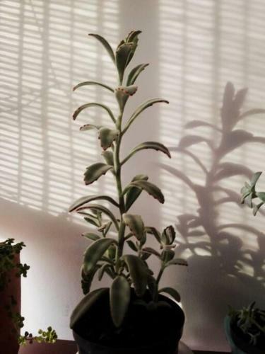 Apartamento Amoblado Y Dotado Para Su Tranquilidad
