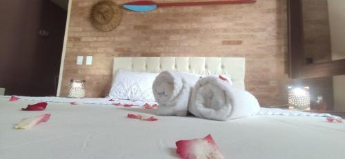 Chal� Master Com Piscina de Borda Infinita
