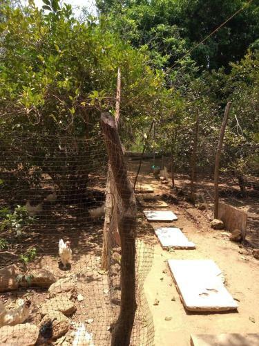 Agroturismo Tubar� Rancho Mocan�