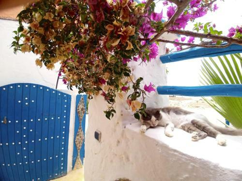 Hostal Dar Boujdaa