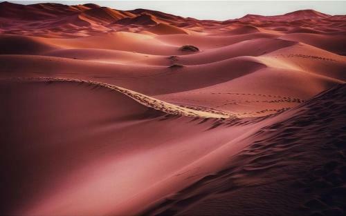Bed & Breakfast Camp Desert Nomad Tour