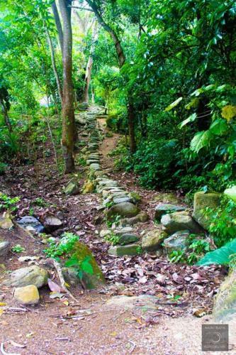 Casa de Campo Entera, Tayrona Nukze