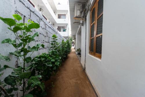 Hostal The Surf Access Guest House And Hostel