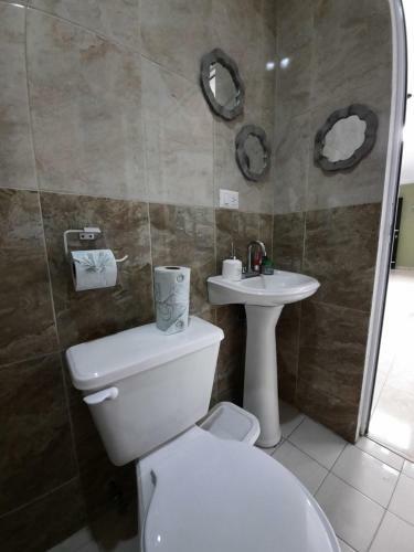 Apartamento Departamento Completo, C�modo, Tranquilo Y Acogedor