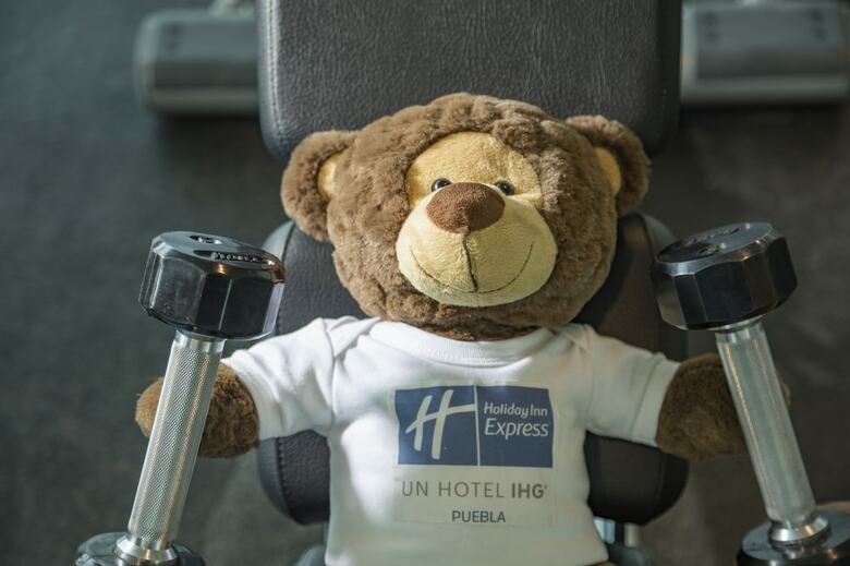 Hotel Holiday Inn Express Puebla