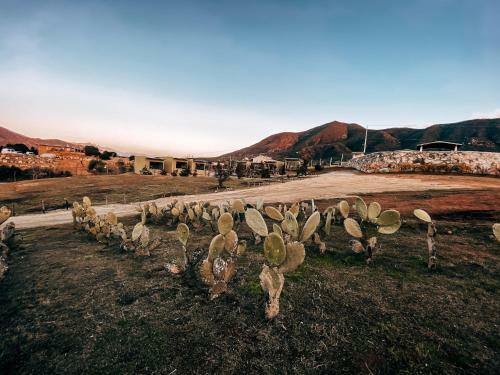 Agroturismo Palta 60 Valle de Guadalupe