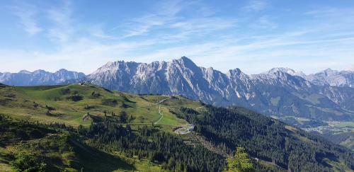 Alpincreek