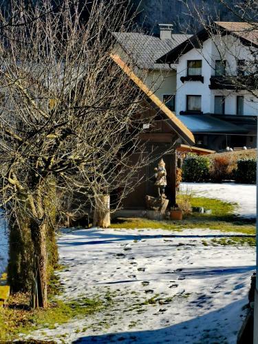 Apartamento Ferienwohnung Schl�gelhofer