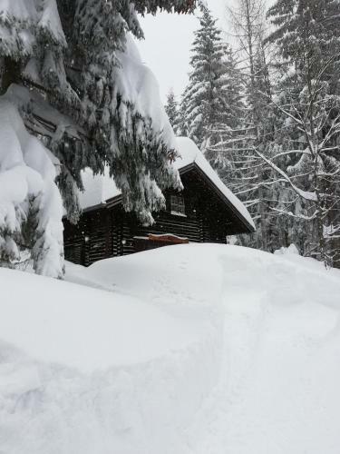 Ferienh�tte Hochalm