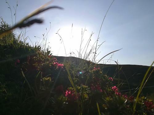 Apartamento Herbst Wohnerlebnis