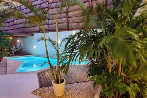 Apartamento Live The Jungle In Tulum Perfect Studio Wifi And Pool