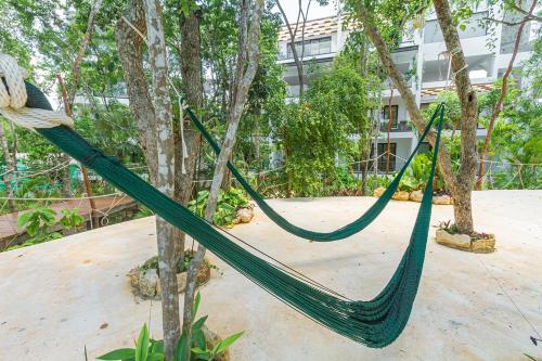 Apartamento Hidden Gem In Yaaxlum (Yaaxlum 202)