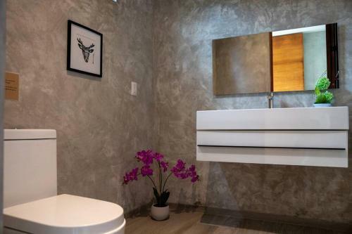 Modern Luxury Private Villa With Pool