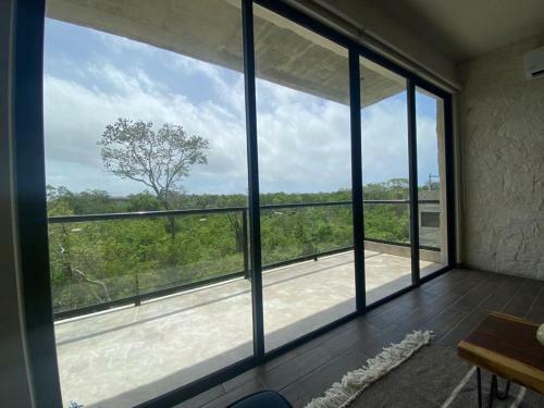 One Bedroom Apartment With Jungle Views