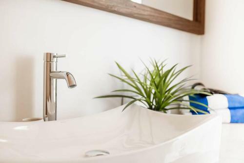 Apartamento One Bedroom Jungle Ph With Private Rooftop
