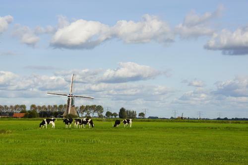 Bed & Breakfast Vertoeven Bij Verhoeven