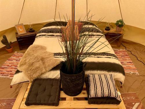 Camping De Houtwal
