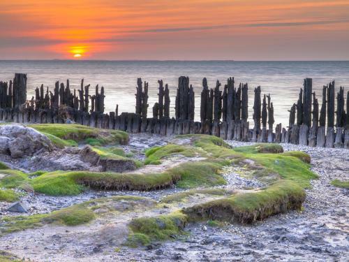 Wadsuper Vakantiewoning Paesens Moddergat Aan de Waddenzee