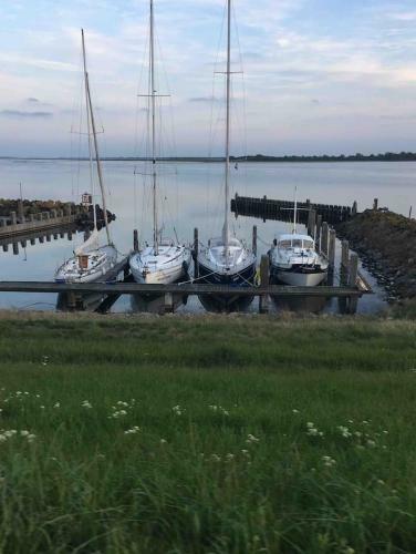 Vakantiehuisje In Ouddorp Dichtbij Het Strand