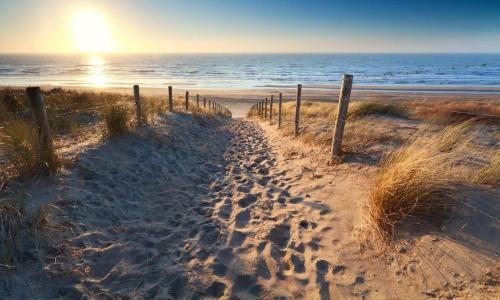 Zee&zout, Chalet 6 Pers. Bij Renesse En Strand!