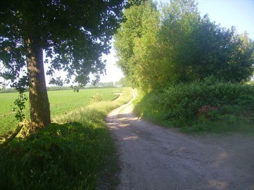 Krabbenkreek 2