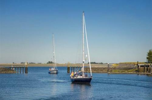 Huisje Vogelenzang Zeeland